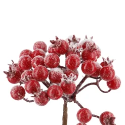 Beeren-Bündel, Rot