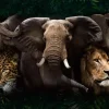 Poster Big Five Of Africa, Nr. 219