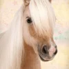 Poster Sweet Horse, Nr. 198