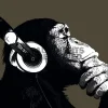 Poster The Chimp - Stereo, Nr. 155
