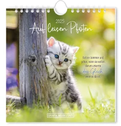Postkarten Kalender, 2025, Auf Leisen Pfoten