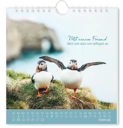 Postkarten Kalender, 2025, Strandgut