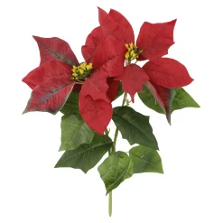 Weihnachtsstern 2 Blüten/rot, 31 Cm