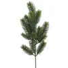 Zweig Edeltanne, 50 Cm